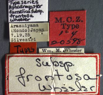 Media type: image;   Entomology 20598 Aspect: labels